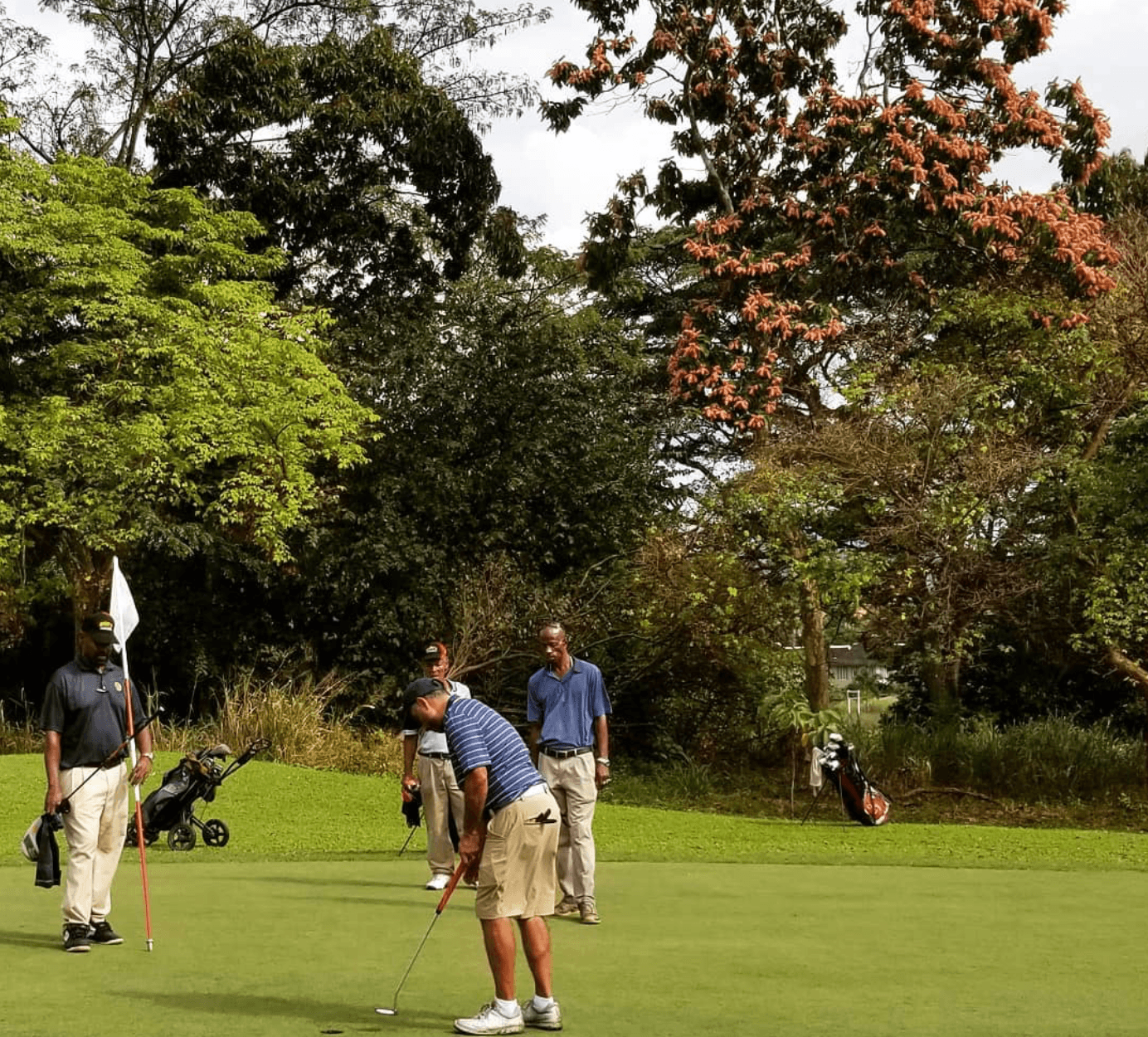 Golfing