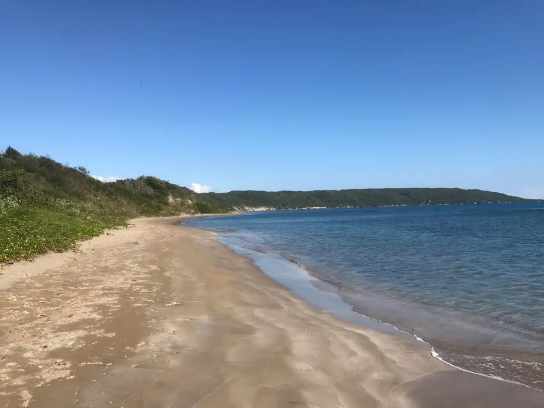 Starve Gut Bay